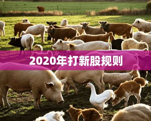 2020年打新股规则