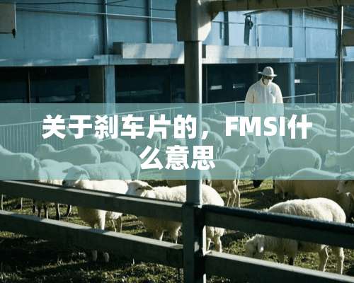 关于刹车片的，FMSI什么意思