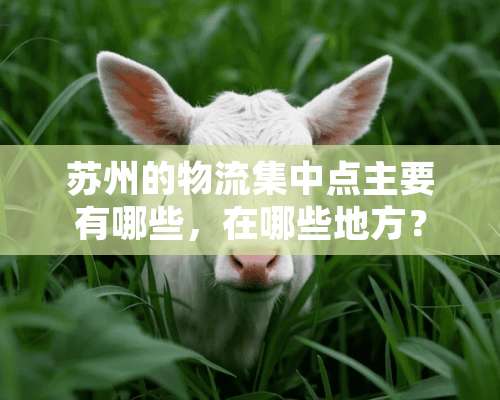 苏州的物流集中点主要有哪些，在哪些地方？