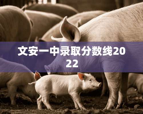 文安一中录取分数线2022