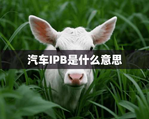 汽车IPB是什么意思