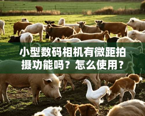 小型数码相机有微距拍摄功能吗？怎么使用？