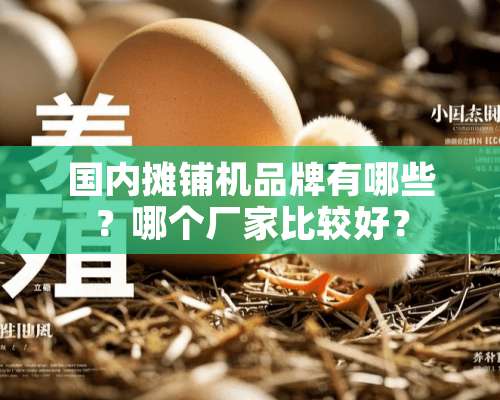 国内摊铺机品牌有哪些？哪个厂家比较好？