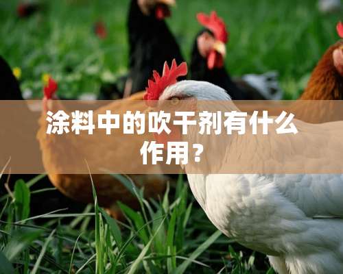 涂料中的吹干剂有什么作用？