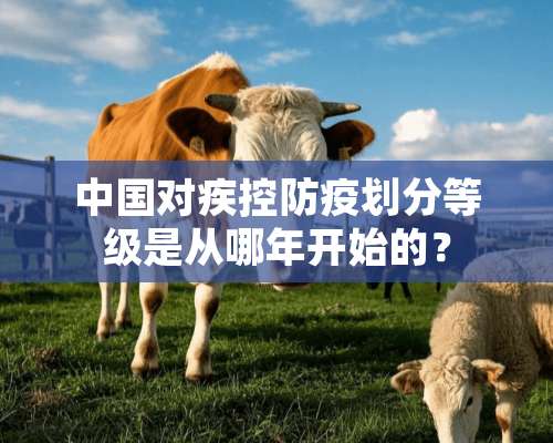 中国对疾控防疫划分等级是从哪年开始的？