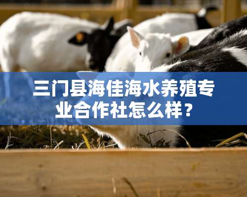 三门县海佳海水养殖专业合作社怎么样？