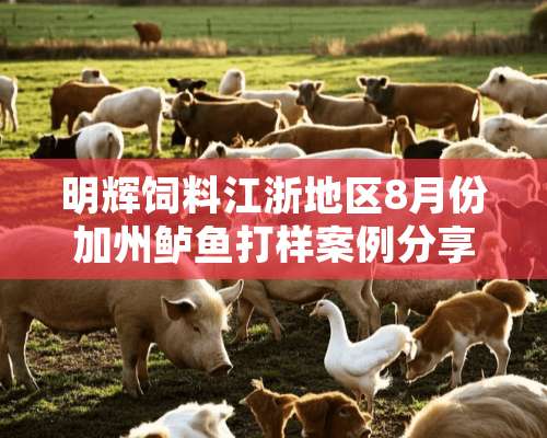 明辉饲料江浙地区8月份加州鲈鱼打样案例分享