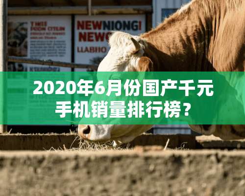 2020年6月份国产千元手机销量排行榜？