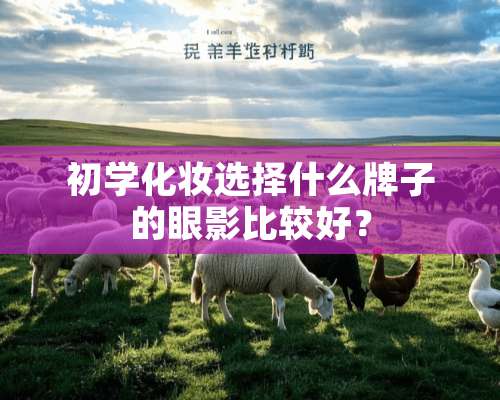 初学化妆选择什么牌子的眼影比较好？