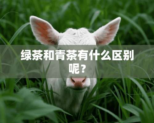 绿茶和青茶有什么区别呢？