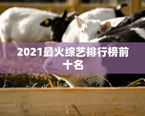 2021最火综艺排行榜前十名