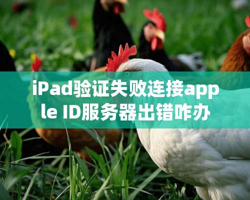 iPad验证失败连接apple ID服务器出错咋办