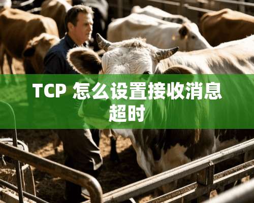 TCP 怎么设置接收消息超时