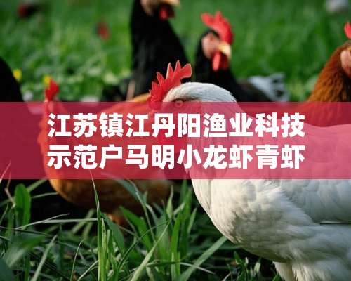 江苏镇江丹阳渔业科技示范户马明小龙虾青虾连作效益高