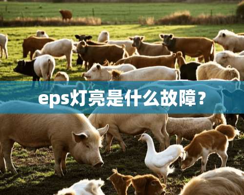 eps灯亮是什么故障？