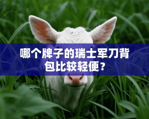 哪个牌子的瑞士**背包比较轻便？