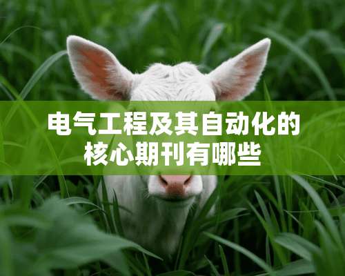 电气工程及其自动化的核心期刊有哪些