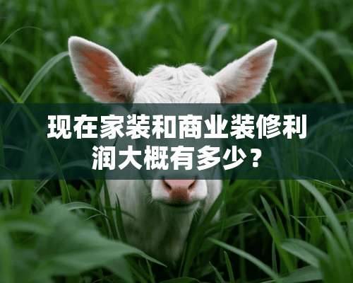 现在家装和商业装修利润大概有多少？