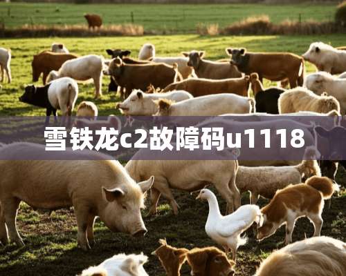 雪铁龙c2故障码u1118