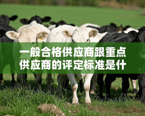 一般合格供应商跟重点供应商的评定标准是什么？