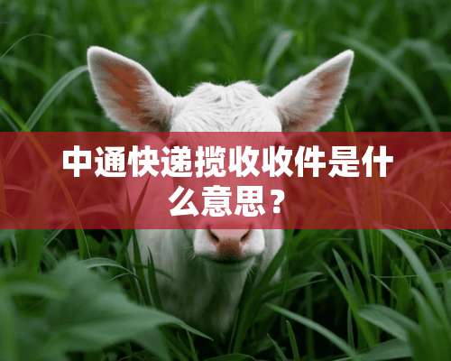 中通快递揽收收件是什么意思？