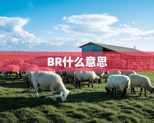 BR什么意思