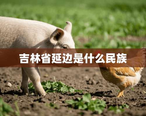 吉林省延边是什么民族