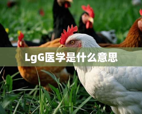 LgG医学是什么意思