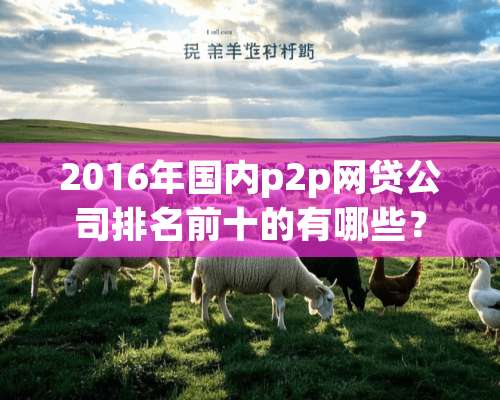 2016年国内p2p**公司排名前十的有哪些？