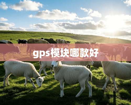 gps模块哪款好