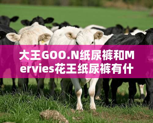 大王GOO.N纸尿裤和Mervies花王纸尿裤有什么区别。