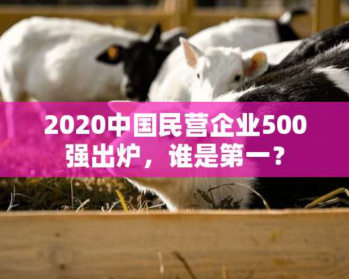 2020中国民营企业500强出炉，谁是第一？