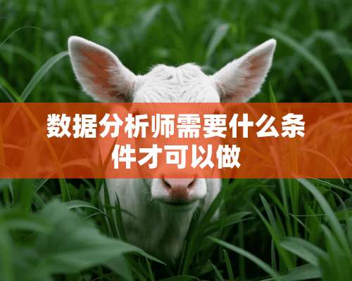 数据分析师需要什么条件才可以做