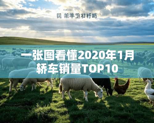 一张图看懂2020年1月轿车销量TOP10