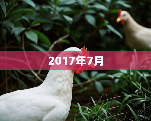 2017年7月