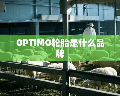 OPTIMO轮胎是什么品牌