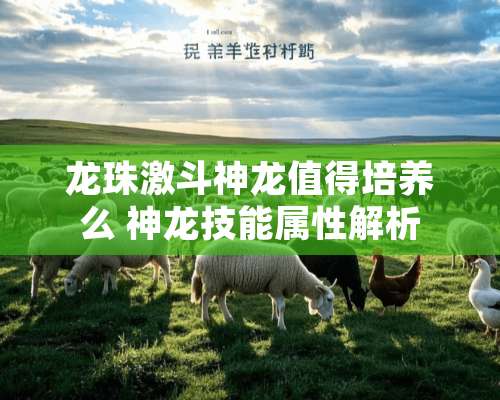 龙珠激斗神龙值得培养么 神龙技能属性解析