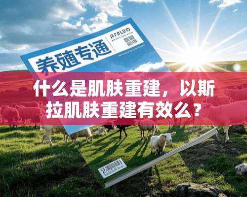 什么是肌肤重建，以斯拉肌肤重建有效么？