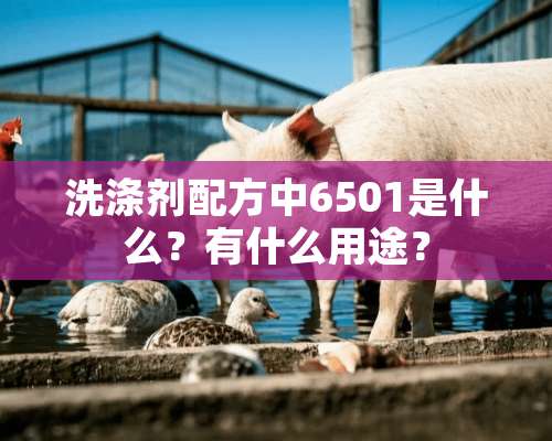 洗涤剂配方中6501是什么？有什么用途？