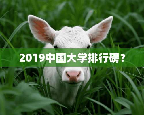 2019中国大学排行磅？