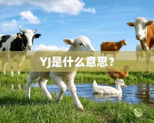 YJ是什么意思？