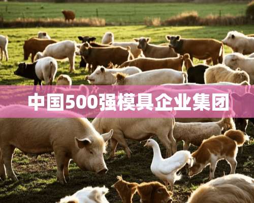 中国500强模具企业集团