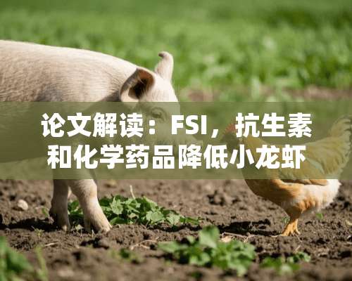 论文解读：FSI，抗生素和化学药品降低小龙虾先天抗病力