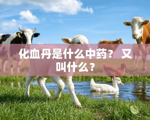 化血丹是什么中药？ 又叫什么？