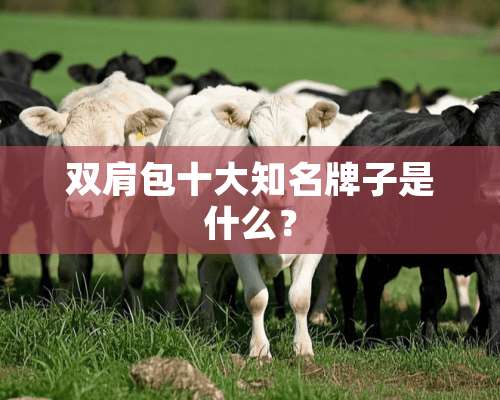 双肩包十大知名牌子是什么？