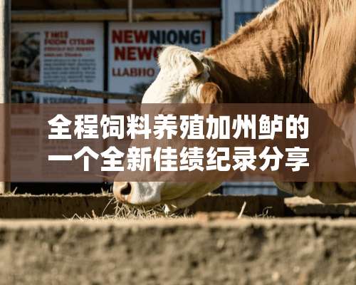 全程饲料养殖加州鲈的一个全新佳绩纪录分享