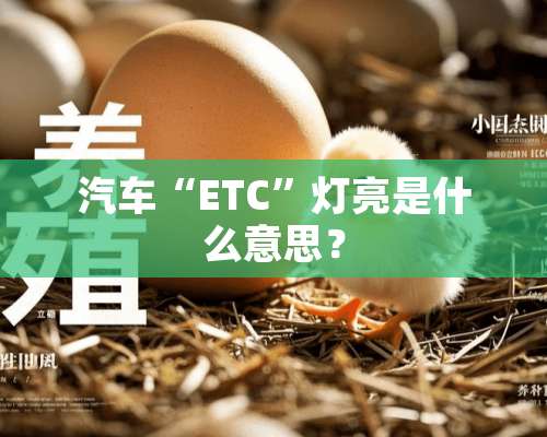 汽车“ETC”灯亮是什么意思？