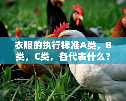 衣服的执行标准A类，B类，C类，各代表什么？