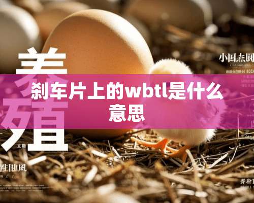 刹车片上的wbtl是什么意思