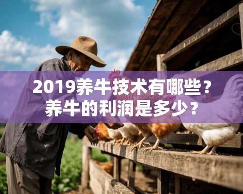 2019养牛技术有哪些？养牛的利润是多少？